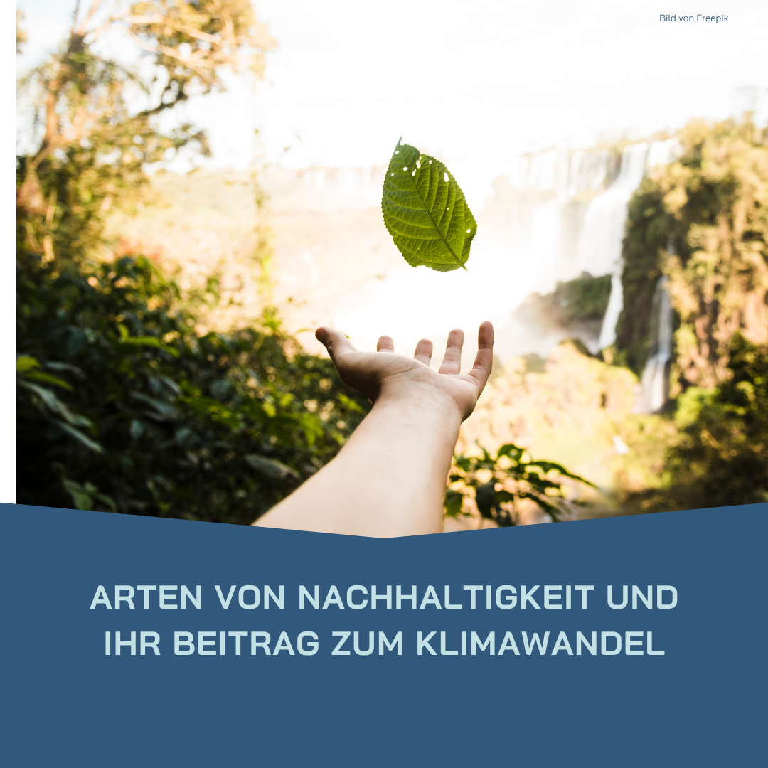 Mehr über den Artikel erfahren Arten von Nachhaltigkeit und ihr Beitrag zum Klimawandel